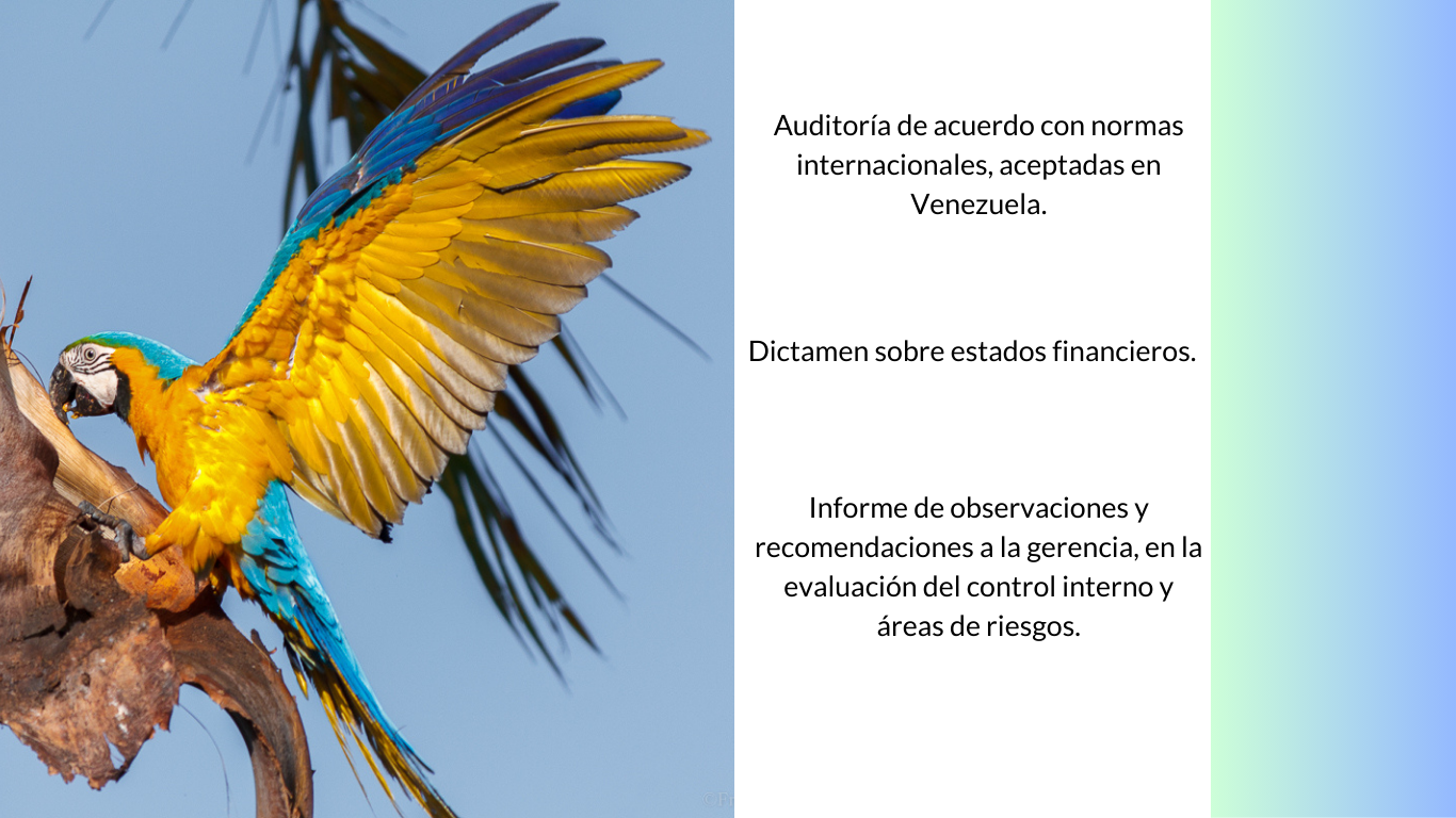 Página web Auditoria de Sistemas RyT (2)